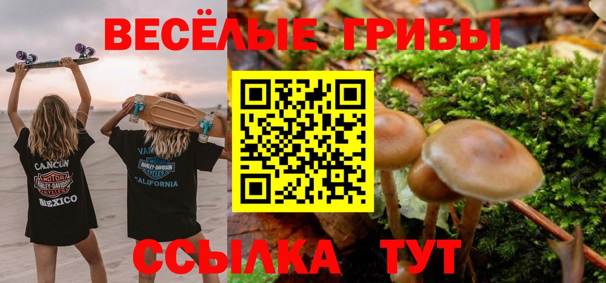 Зеленокумск  Галлюциногенные грибы Psilocybe  Вход с VPN 